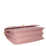 Dior Miss Caro Mini Bag_IMG_4648.jpeg