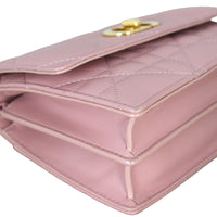 Dior Miss Caro Mini Bag_IMG_4649.jpg