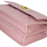 Dior Miss Caro Mini Bag_IMG_4650.jpg