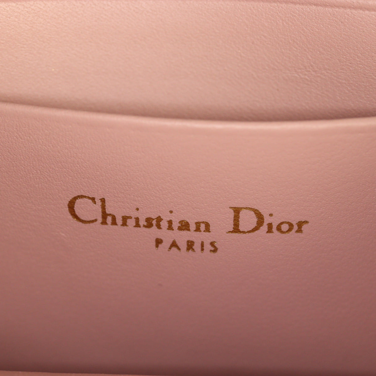 Dior Miss Caro Mini Bag_IMG_4653.jpg