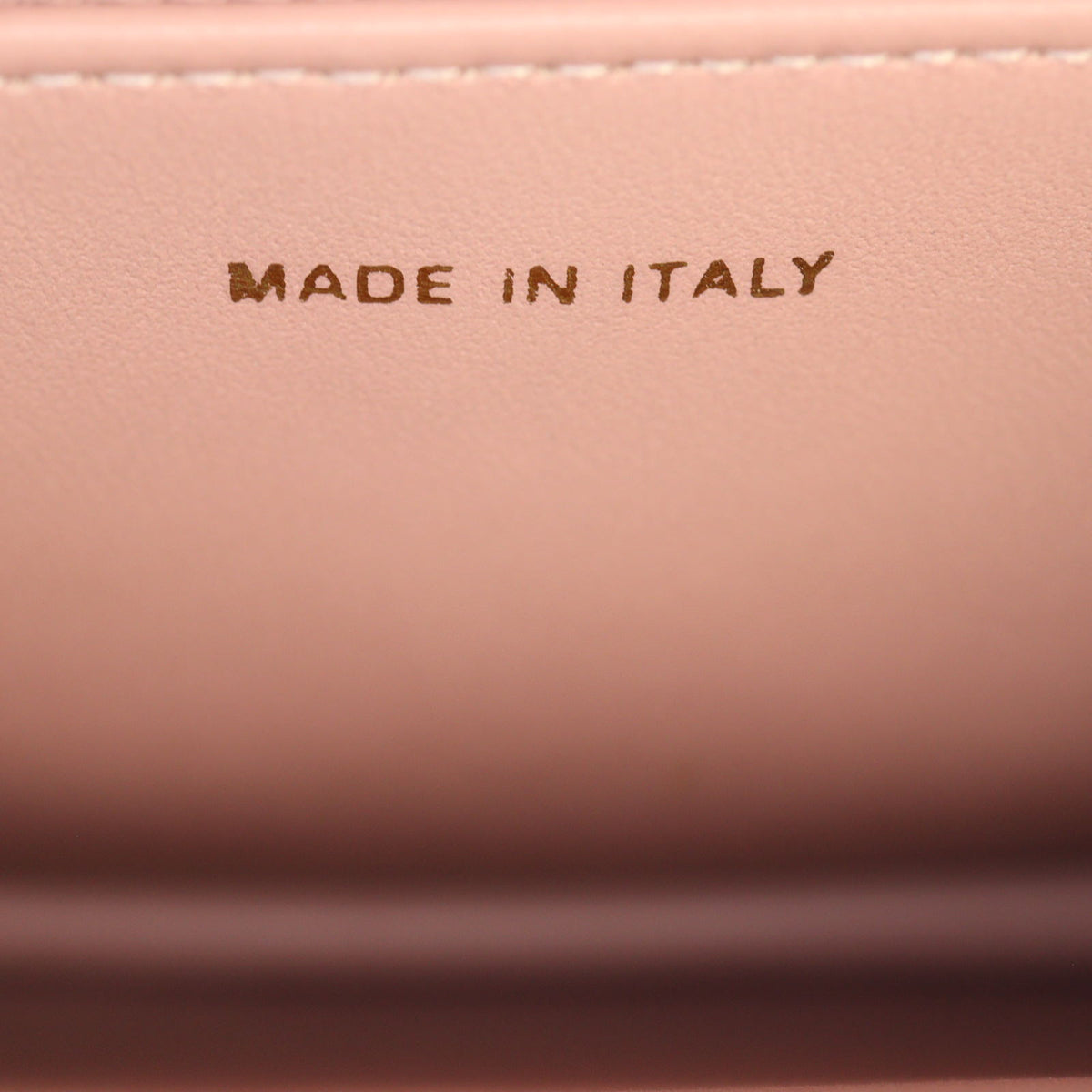 Dior Miss Caro Mini Bag_IMG_4656.jpg