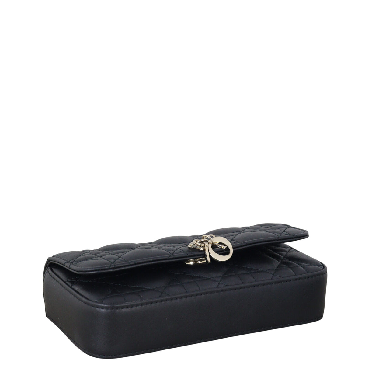 Dior My Dior Talk Phone Pouch_IMG_5183.jpeg