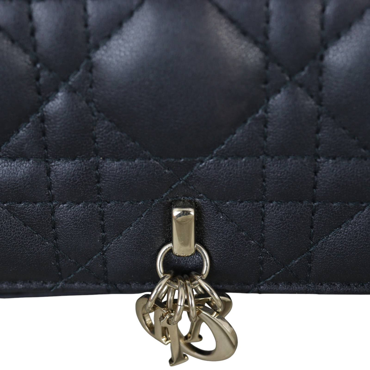 Dior My Dior Talk Phone Pouch_IMG_5184.jpg