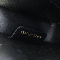 Dior My Dior Talk Phone Pouch_IMG_5186.jpg