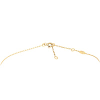 Dior Rose Des Vents Diamond Onyx 18k Rose Gold Necklace_IMG_5587.jpg