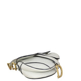 Dior Saddle Bag Mini with Embroidered Strap_IMG_2013.jpeg