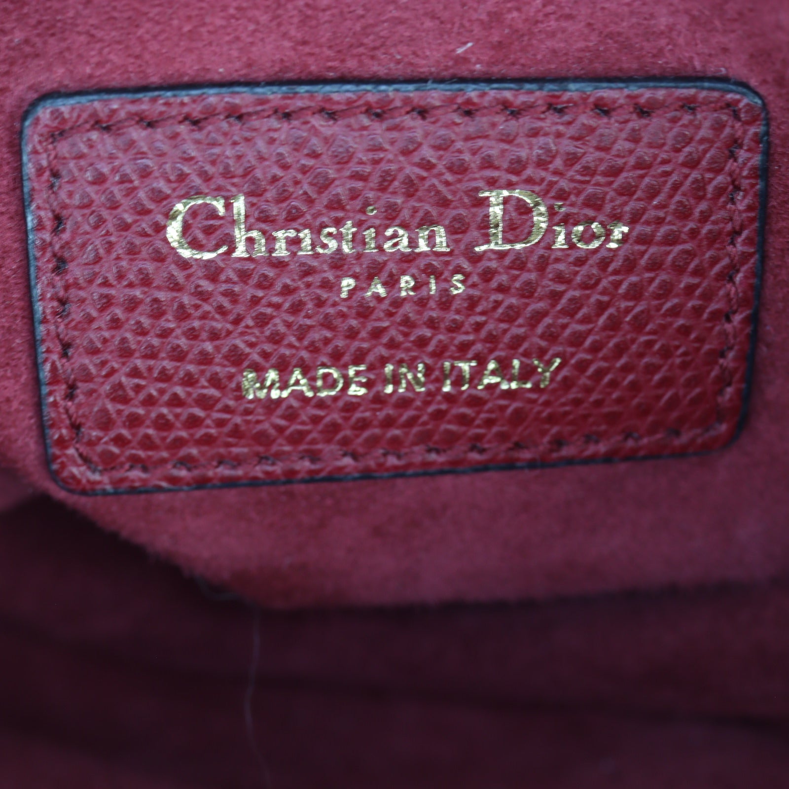 Dior Saddle Bag Mini with Embroidered Strap_IMG_5139.jpg