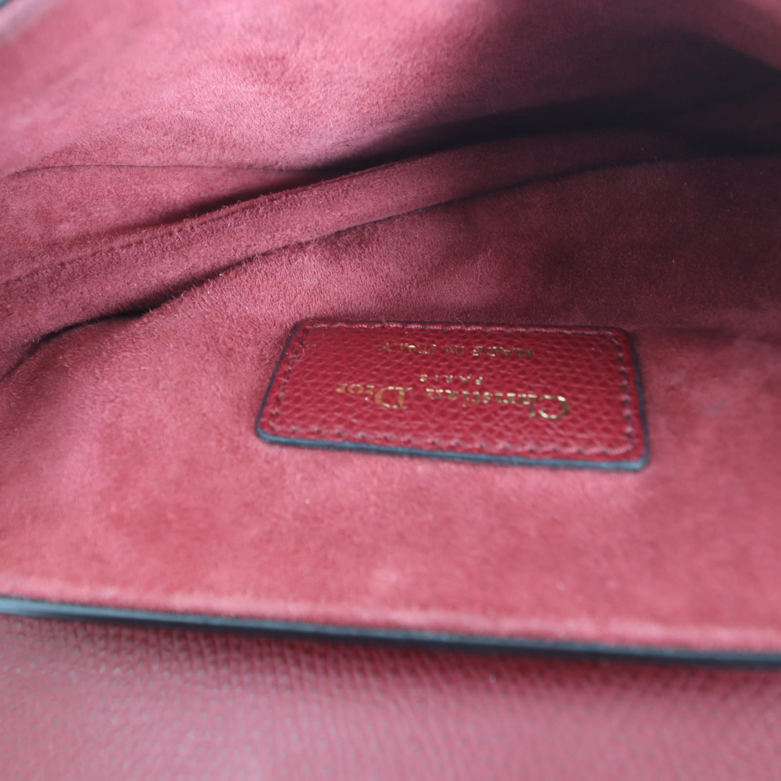 Dior Saddle Bag Mini with Embroidered Strap_IMG_5142.jpg