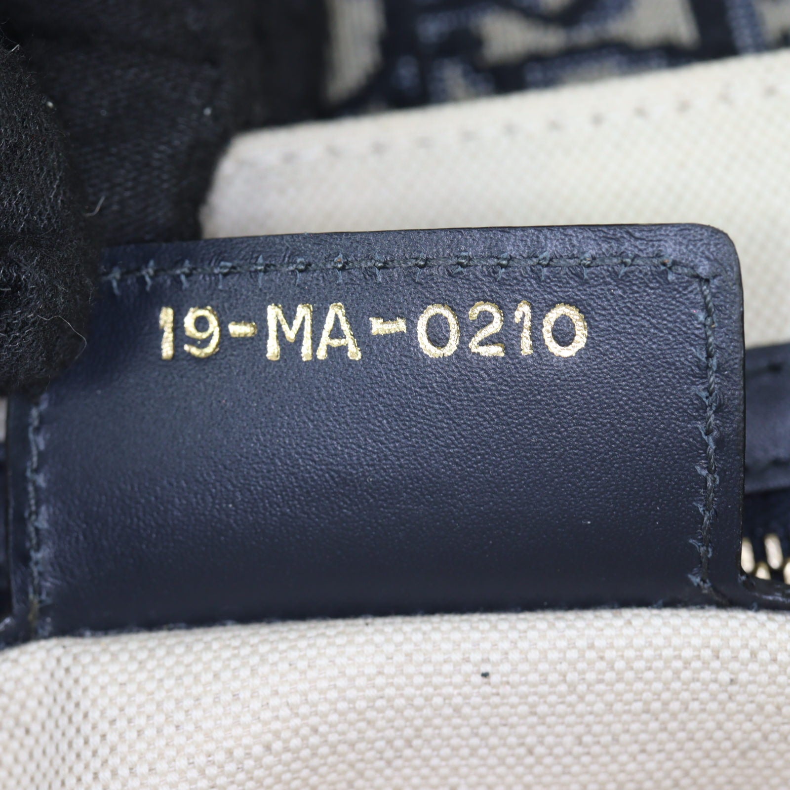Dior Saddle Bag Oblique with Embroidered Strap_IMG_0580.jpg
