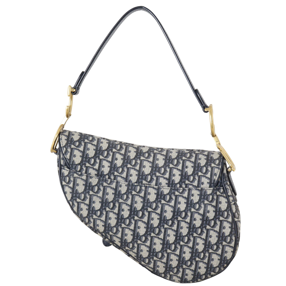 Dior Saddle Bag Oblique with Strap_IMG_8463.jpeg