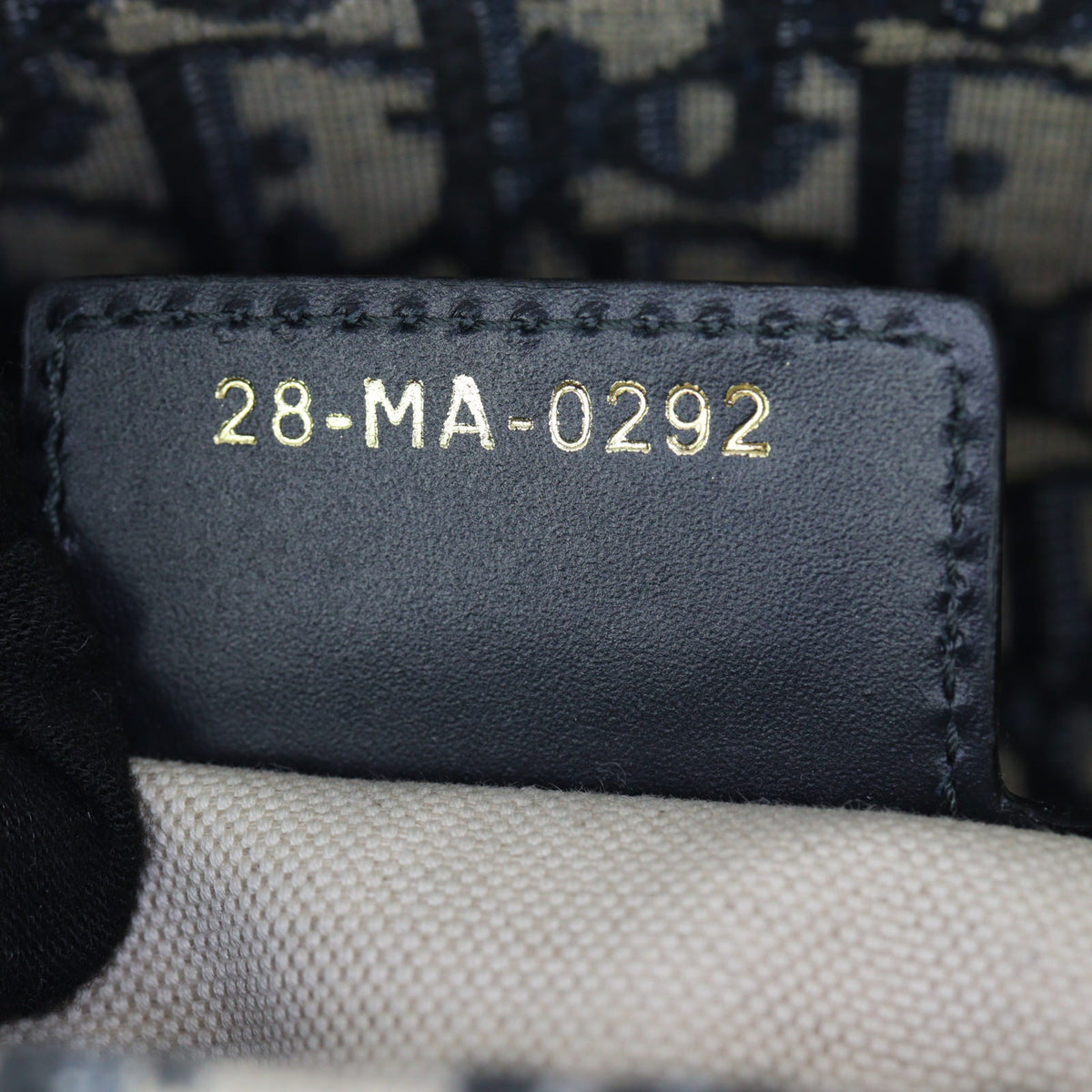 Dior Saddle Bag Oblique with Strap_IMG_8467.jpg