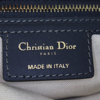 Dior Saddle Bag Oblique_IMG_0477.jpg