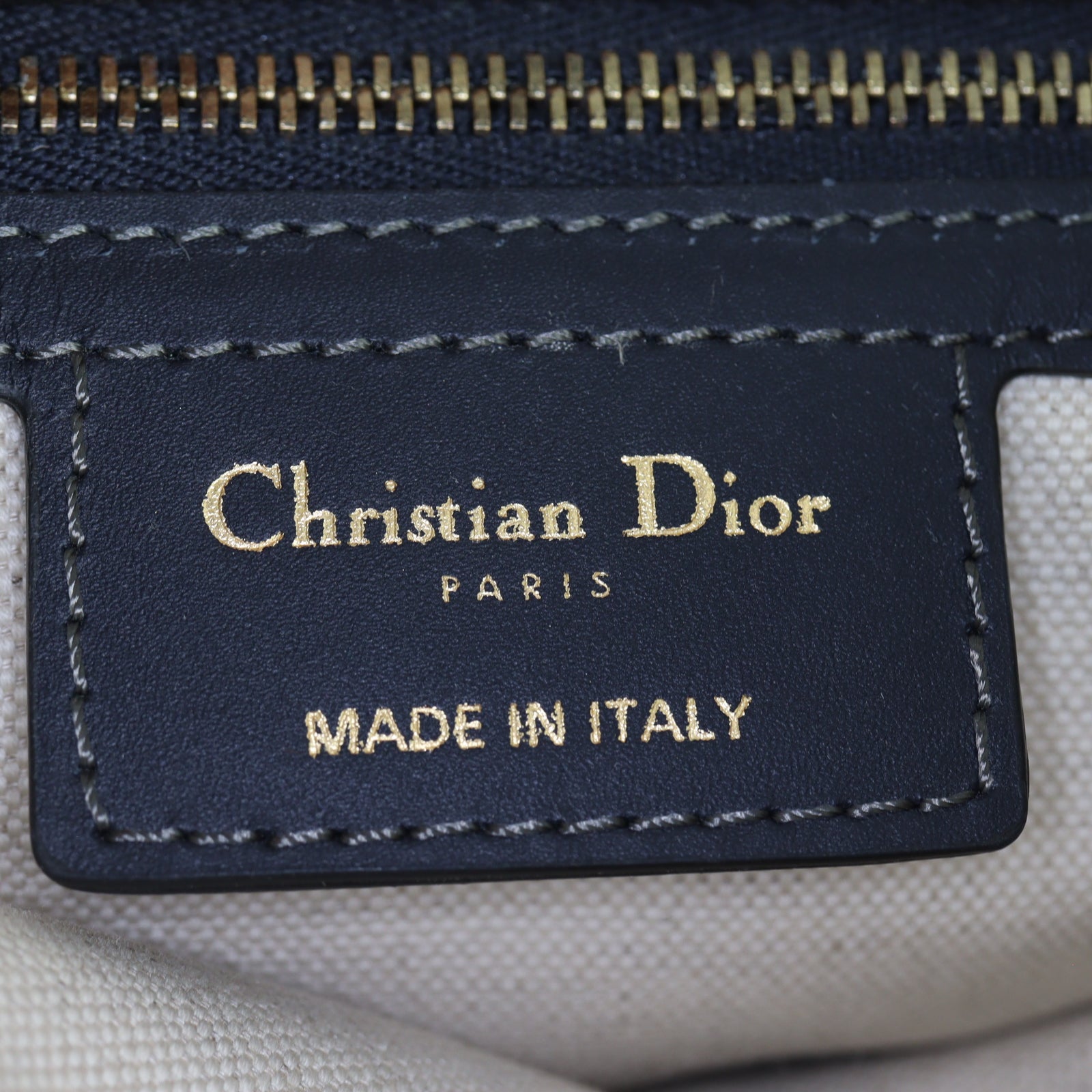 Dior Saddle Bag Oblique_IMG_0477.jpg