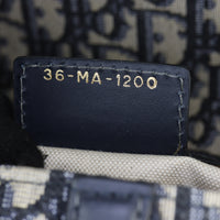 Dior Saddle Bag Oblique_IMG_0478.jpg