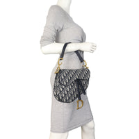 Dior Saddle Bag Oblique_IMG_0593.jpeg