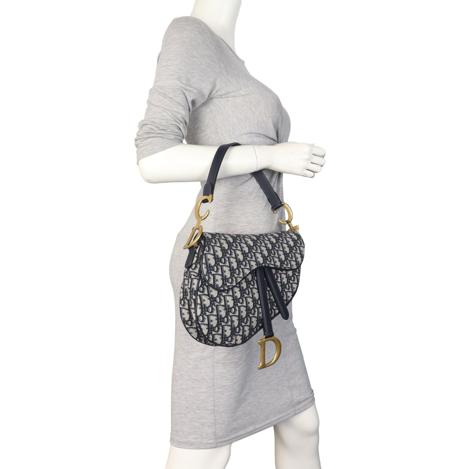 Dior Saddle Bag Oblique_IMG_0593.jpeg