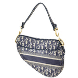 Dior Saddle Bag Oblique_IMG_5903.jpeg