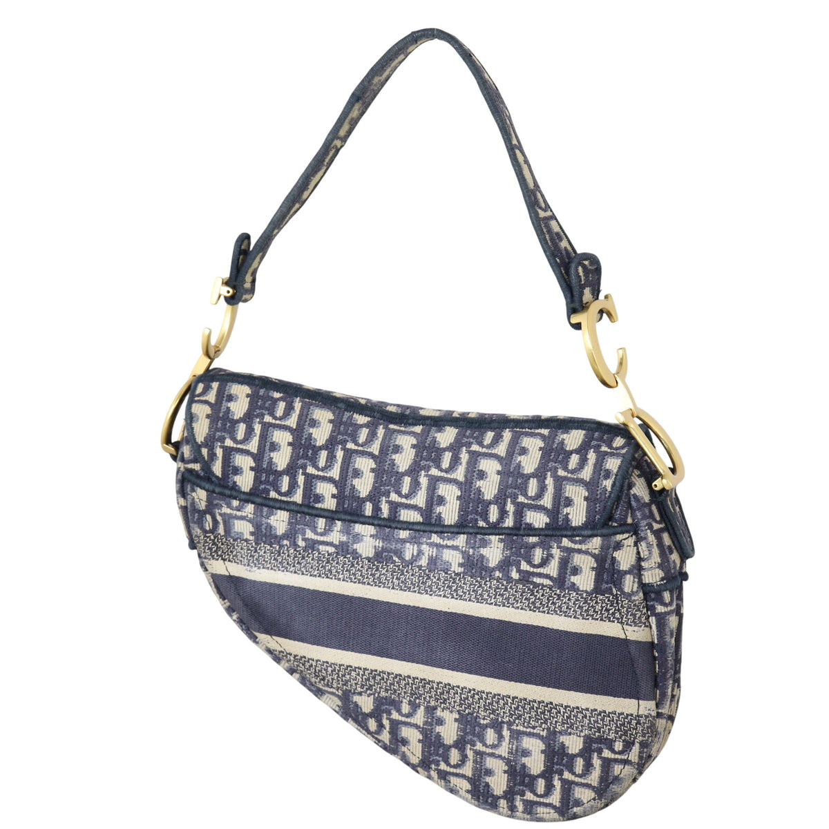 Dior Saddle Bag Oblique_IMG_5903.jpeg