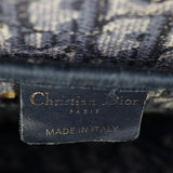 Dior Saddle Bag Oblique_IMG_5907.jpg