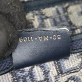 Dior Saddle Bag Oblique_IMG_5908.jpg