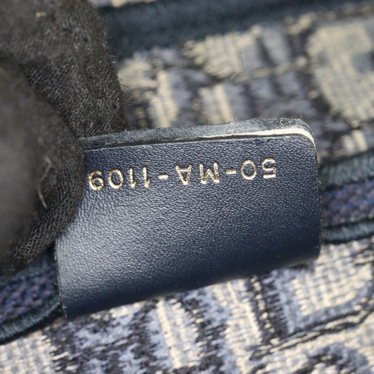 Dior Saddle Bag Oblique_IMG_5908.jpg