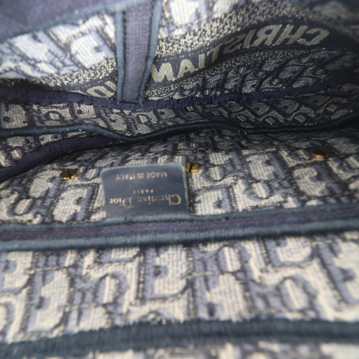Dior Saddle Bag Oblique_IMG_5910.jpg