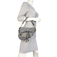 Dior Saddle Bag Oblique_IMG_5925.jpeg