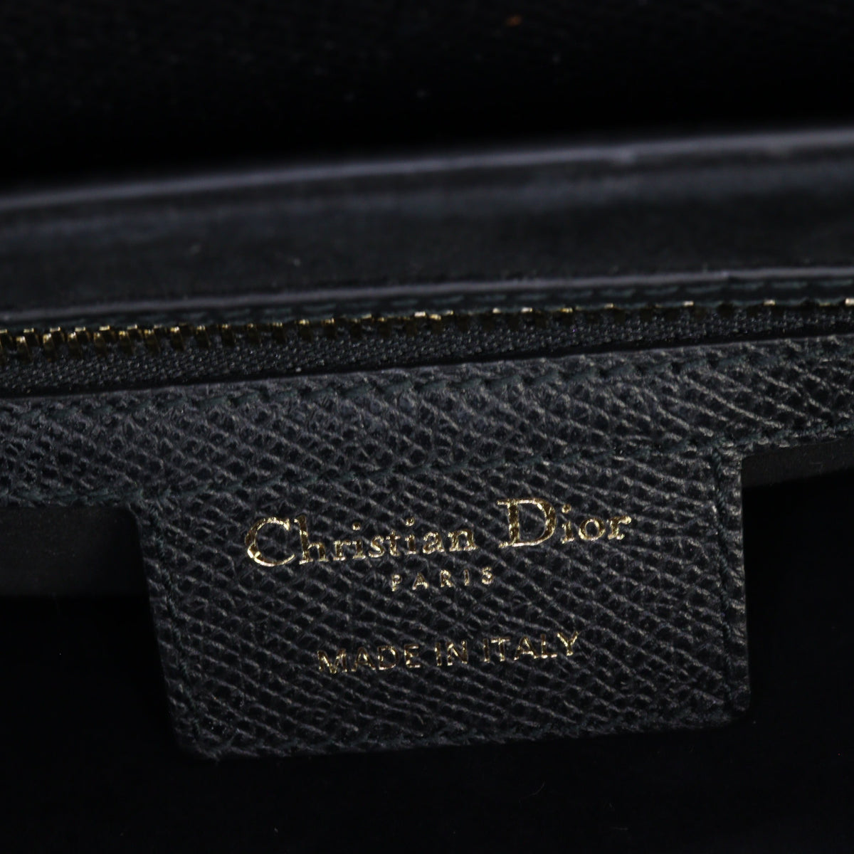 Dior Saddle Bag with Strap_IMG_5520.jpg