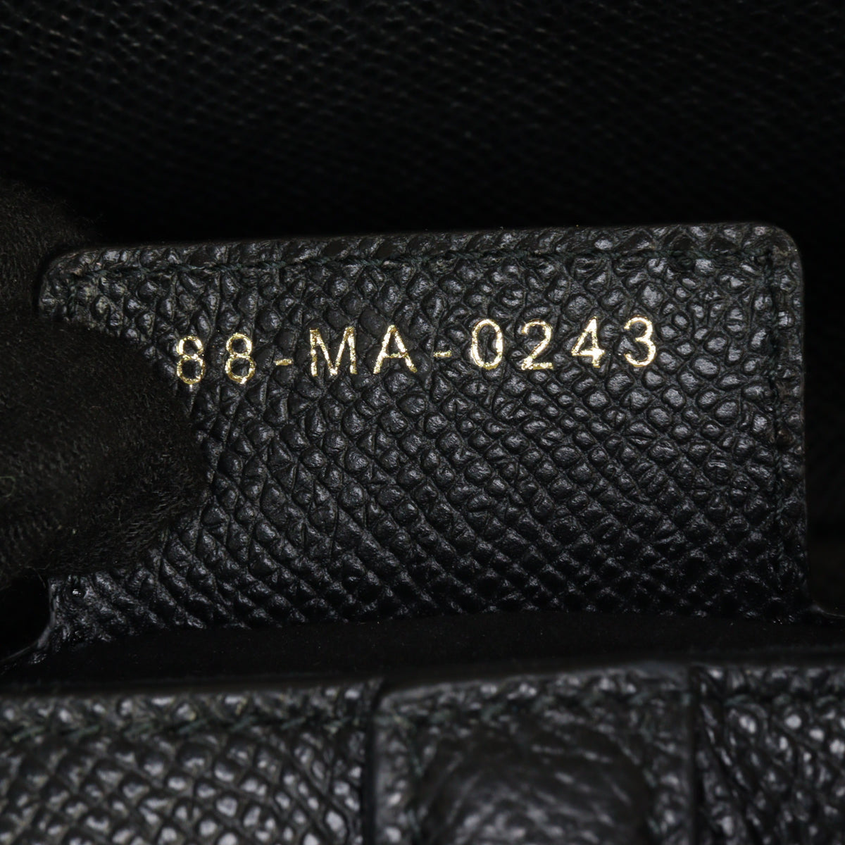 Dior Saddle Bag with Strap_IMG_5521.jpg