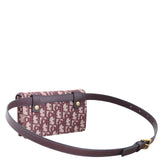 Dior Saddle Belt Pouch Oblique_IMG_1520.jpeg