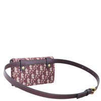 Dior Saddle Belt Pouch Oblique_IMG_1520.jpeg