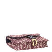 Dior Saddle Belt Pouch Oblique_IMG_1521.jpeg