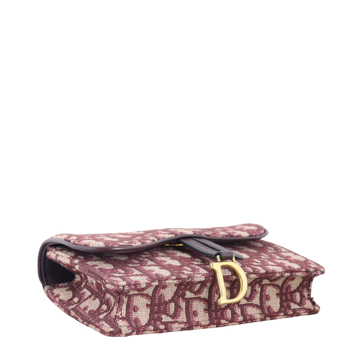 Dior Saddle Belt Pouch Oblique_IMG_1521.jpeg