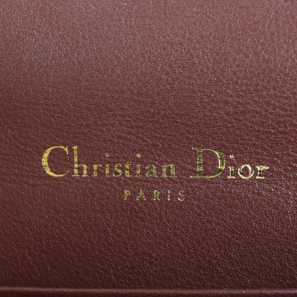 Dior Saddle Belt Pouch Oblique_IMG_1522.jpg