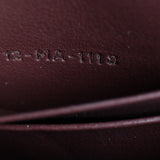 Dior Saddle Belt Pouch Oblique_IMG_1524.jpg