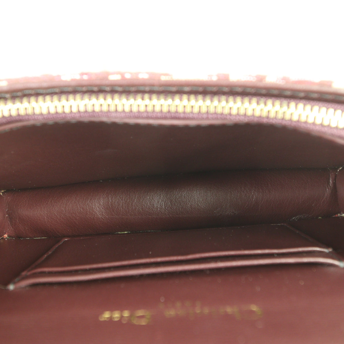 Dior Saddle Belt Pouch Oblique_IMG_1525.jpg