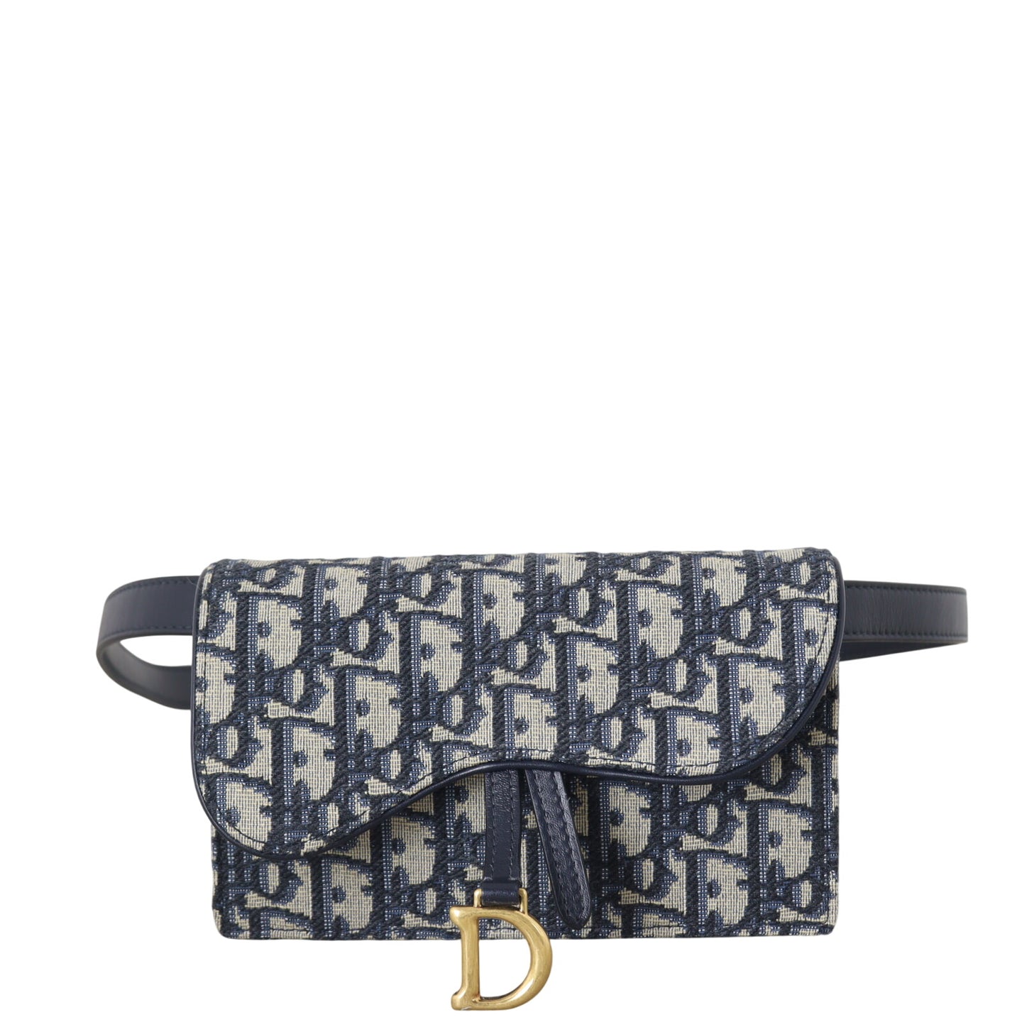 Dior Saddle Belt Pouch Oblique_IMG_8534.jpeg