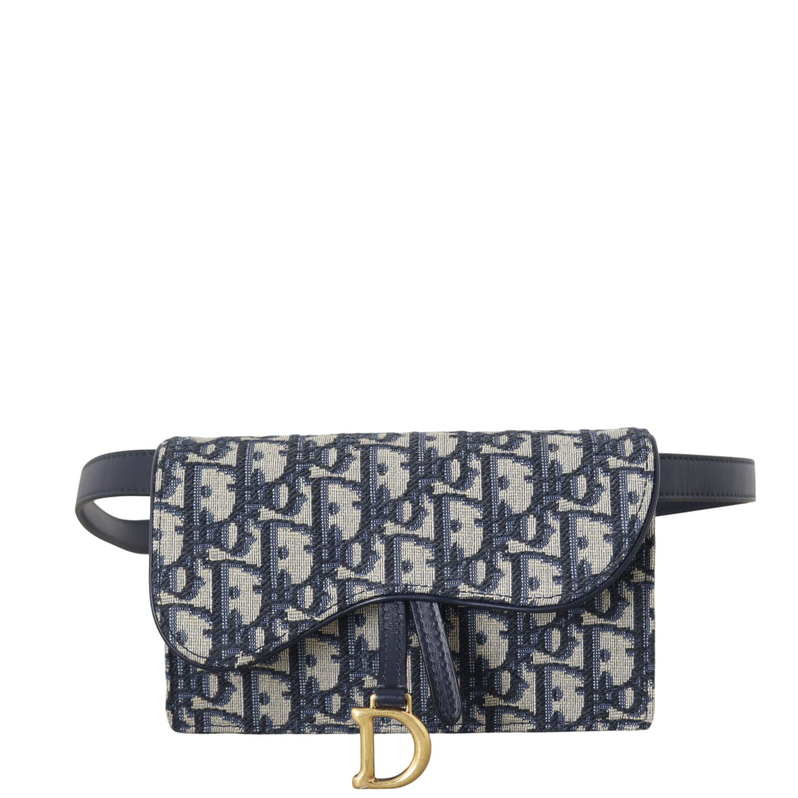 Dior Saddle Belt Pouch Oblique_IMG_8534.jpeg