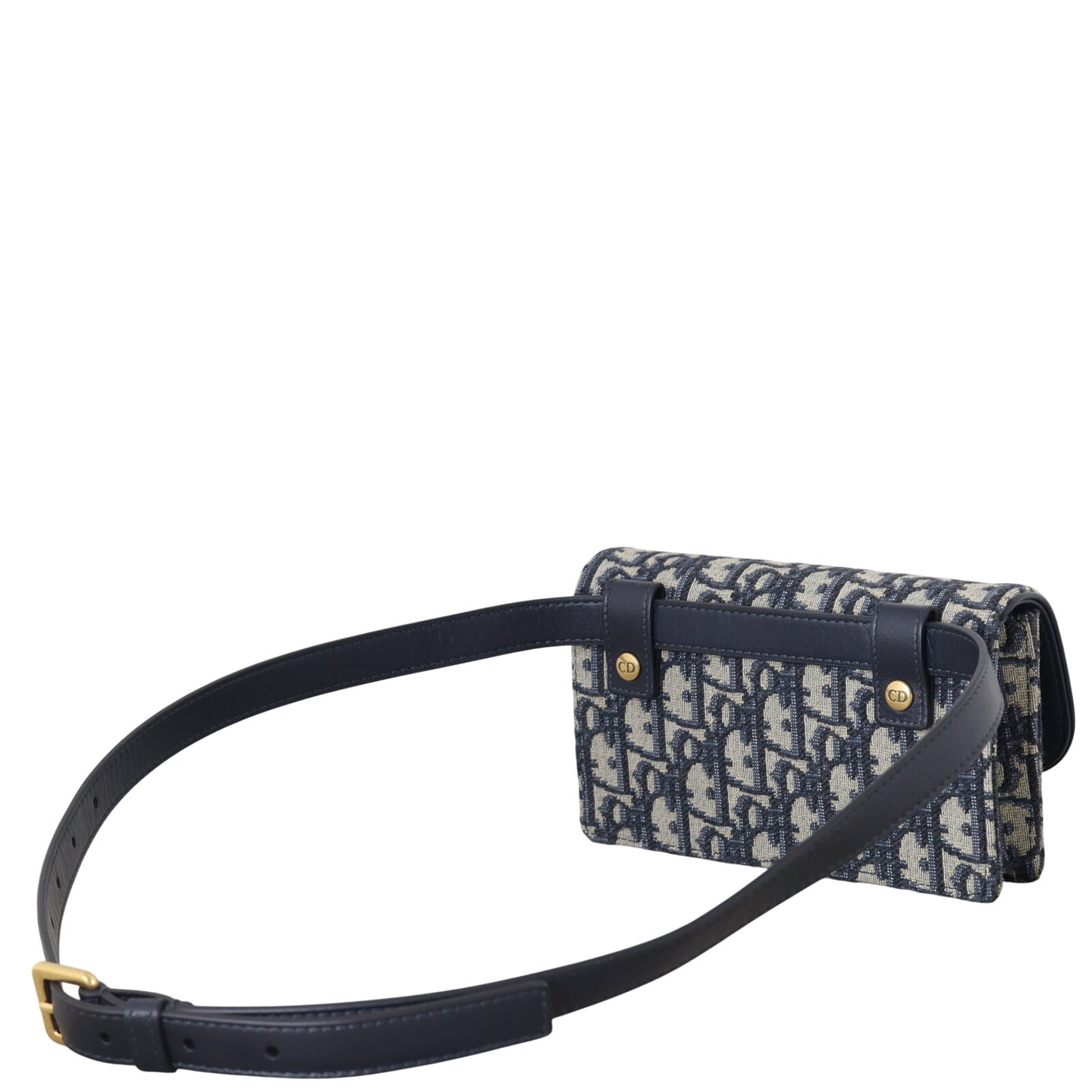Dior Saddle Belt Pouch Oblique_IMG_8535.jpeg