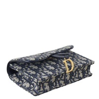 Dior Saddle Belt Pouch Oblique_IMG_8537.jpeg