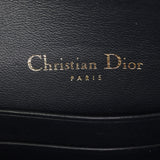Dior Saddle Belt Pouch Oblique_IMG_8538.jpg