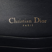 Dior Saddle Belt Pouch Oblique_IMG_8538.jpg
