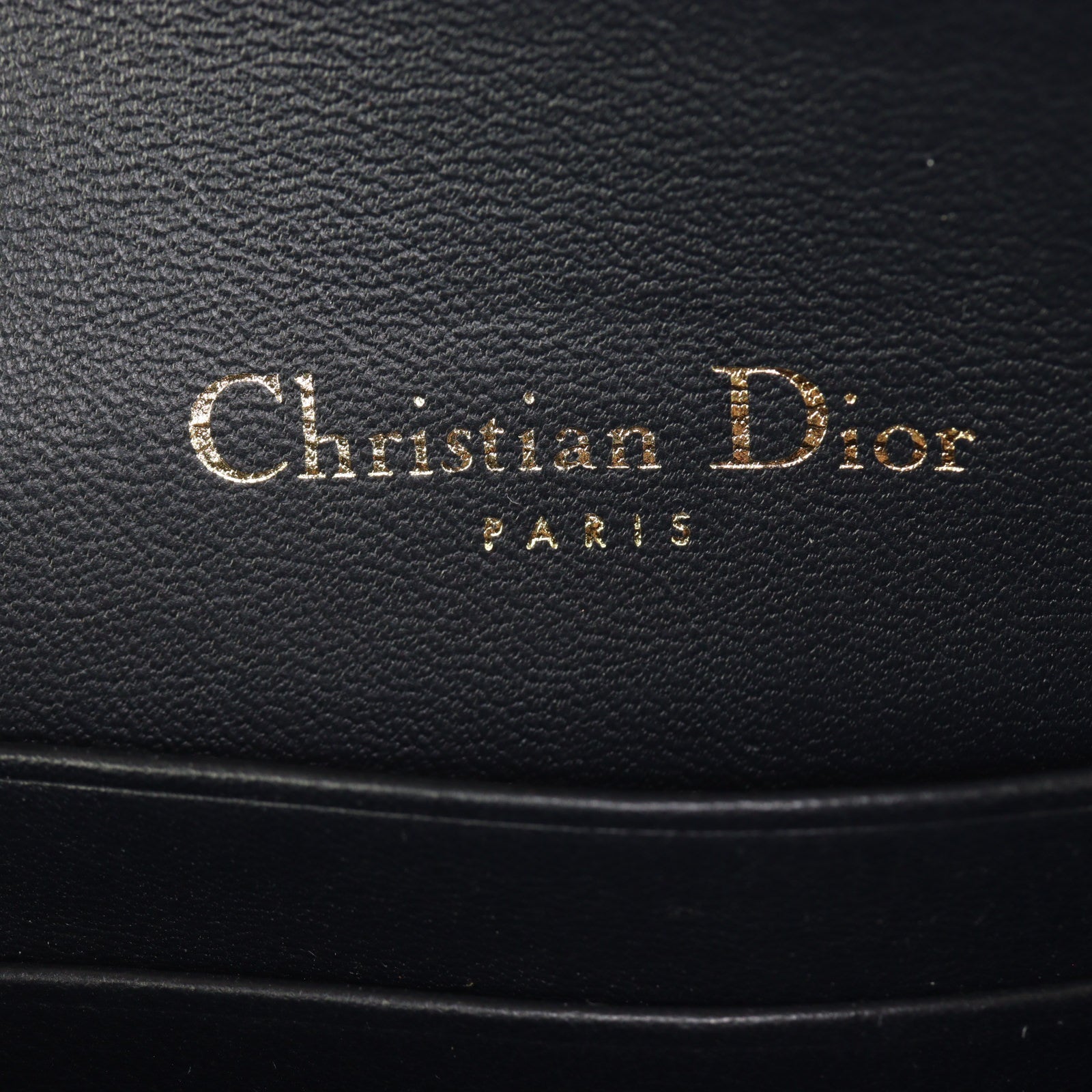 Dior Saddle Belt Pouch Oblique_IMG_8538.jpg