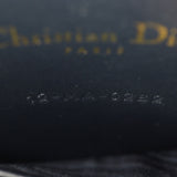 Dior Saddle Belt Pouch Oblique_IMG_8541.jpg
