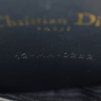 Dior Saddle Belt Pouch Oblique_IMG_8541.jpg
