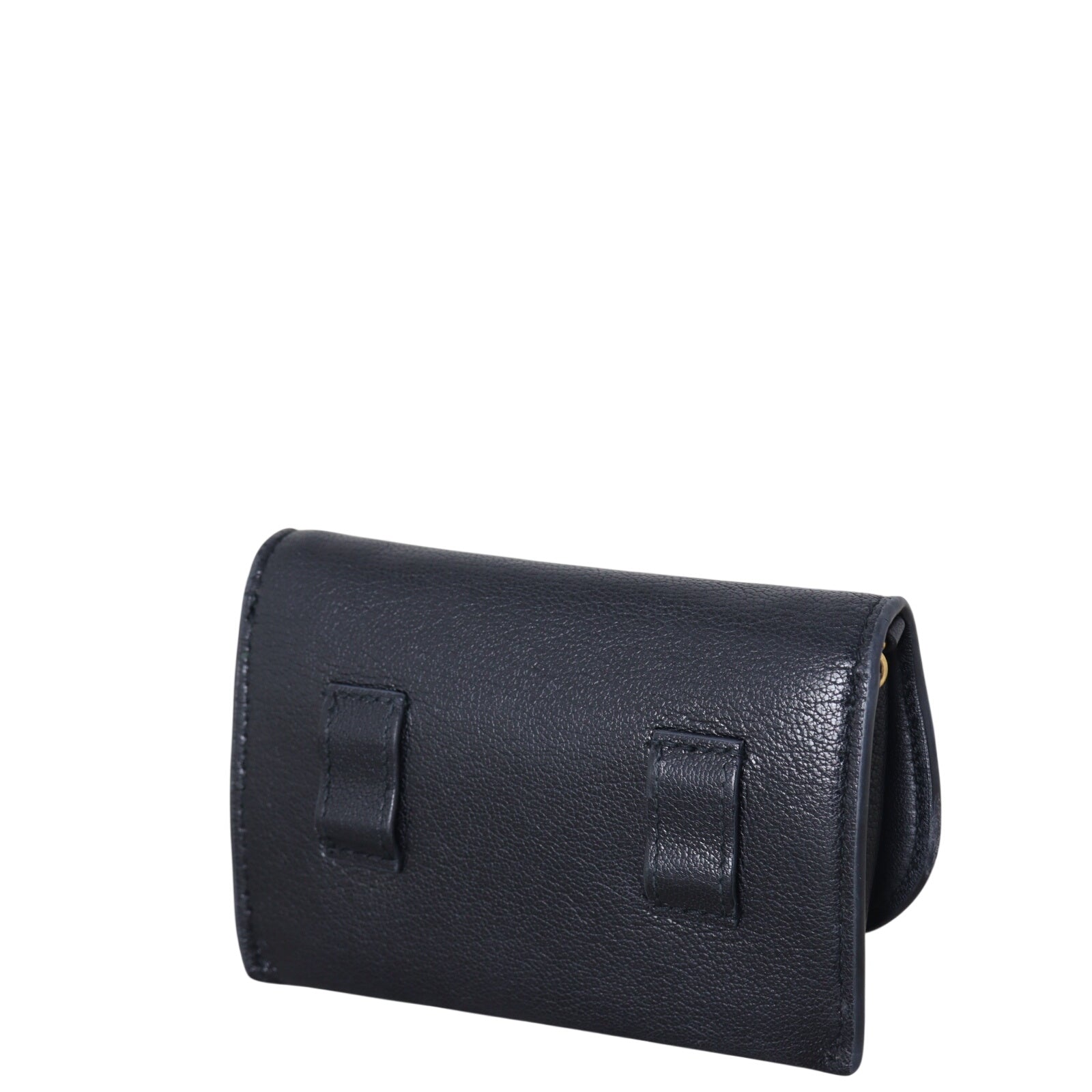 Dior Saddle Pouch Nano_IMG_0246.jpeg