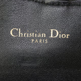 Dior Saddle Pouch Nano_IMG_0248.jpg