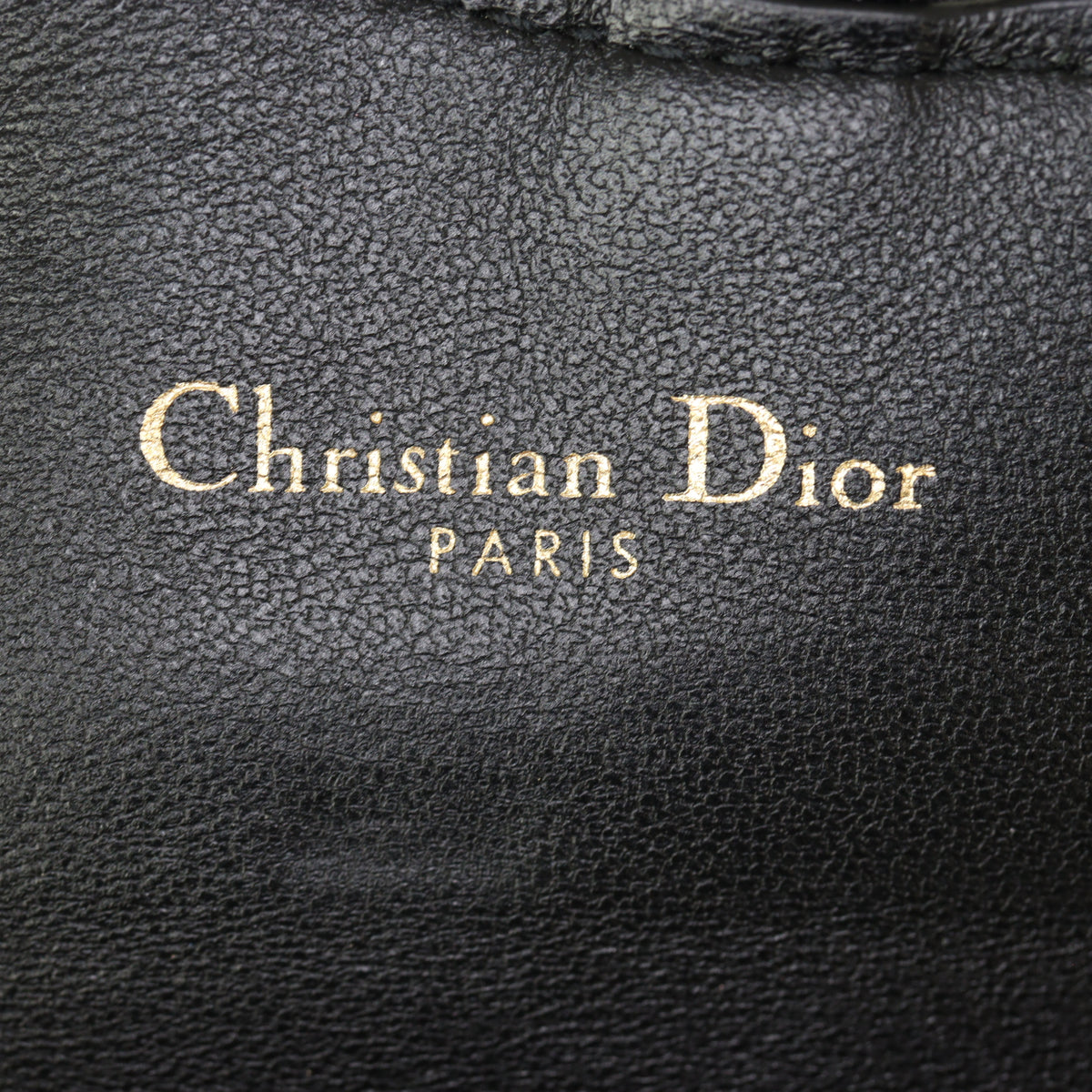 Dior Saddle Pouch Nano_IMG_0248.jpg