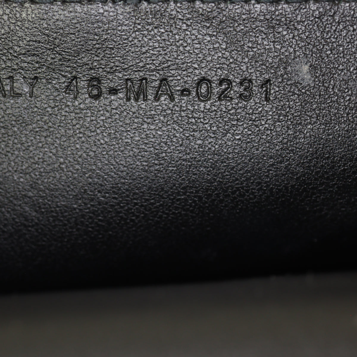 Dior Saddle Pouch Nano_IMG_0250.jpg