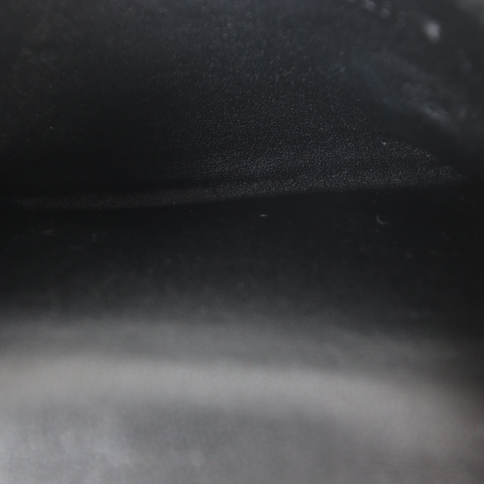 Dior Saddle Pouch Nano_IMG_0251.jpg